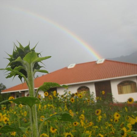 Hosteria Oro Azul Cotacachi Buitenkant foto