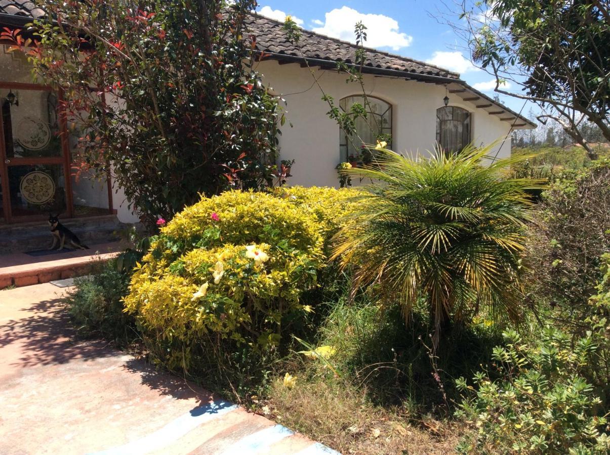 Hosteria Oro Azul Cotacachi Buitenkant foto